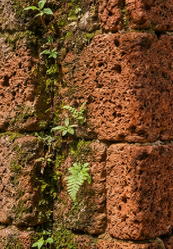 Kerala laterite wall